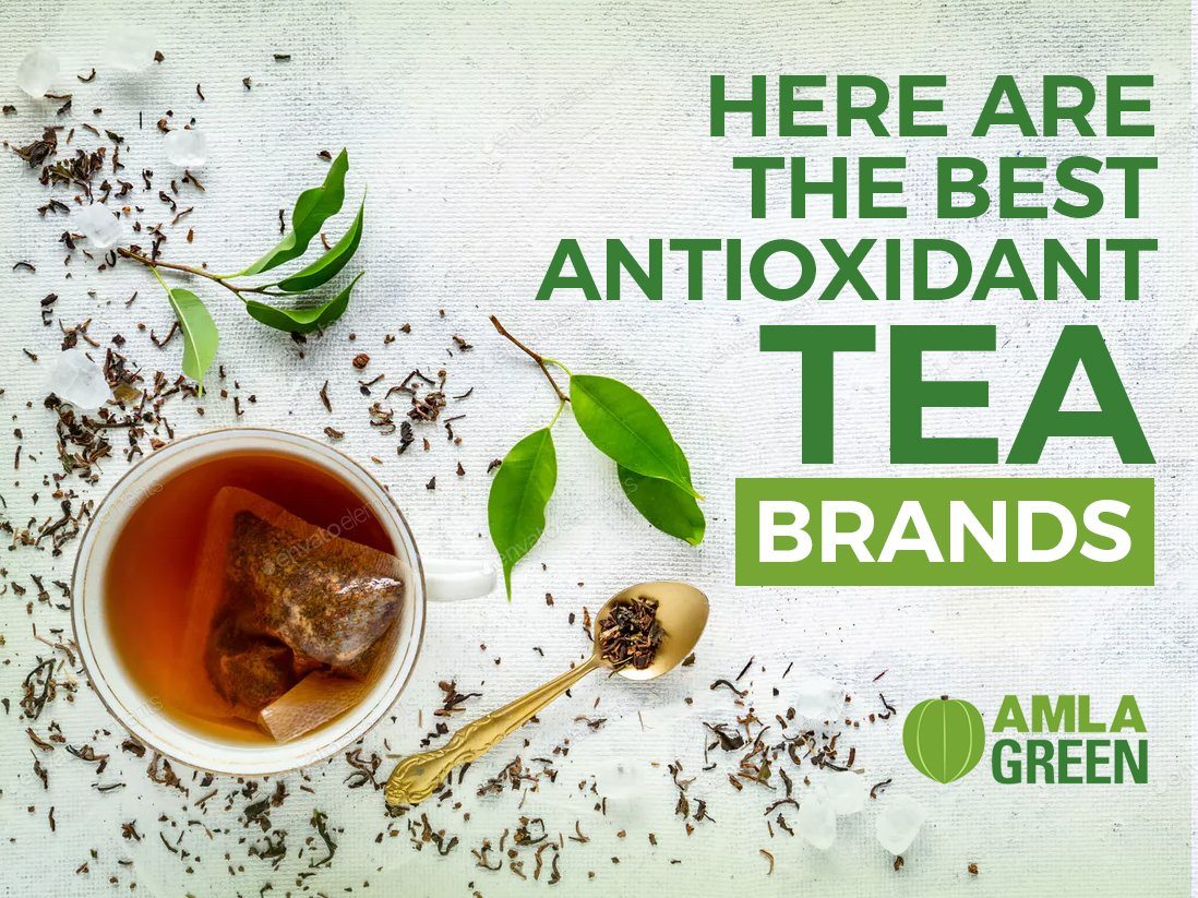 Here Are The BEST Antioxidant Tea Brands – Amla Green