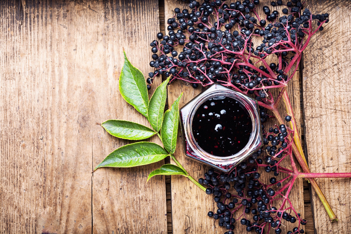 Unleash the Power of Elderberry and Green Tea A Guide to Boosting Your Health