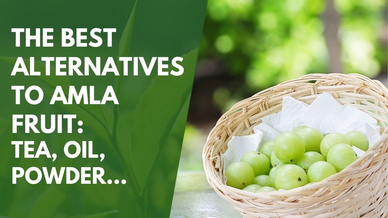 The Best Alternatives to Amla Fruit | Tea, Oil, Powder...