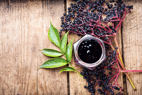 Unleash the Power of Elderberry and Green Tea A Guide to Boosting Your Health