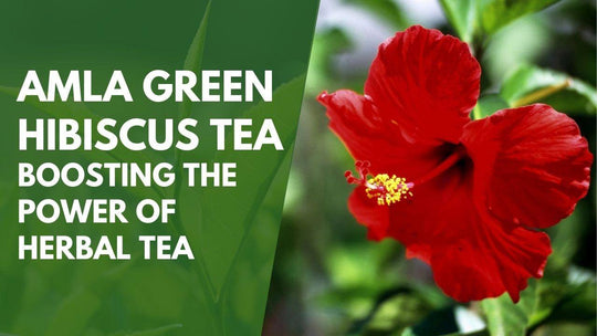 Amla Green Hibiscus Tea | Boosting the Power of Herbal Tea