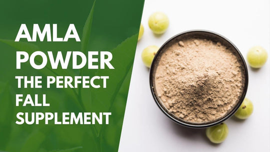 Amla Powder, the Perfect Fall Supplement