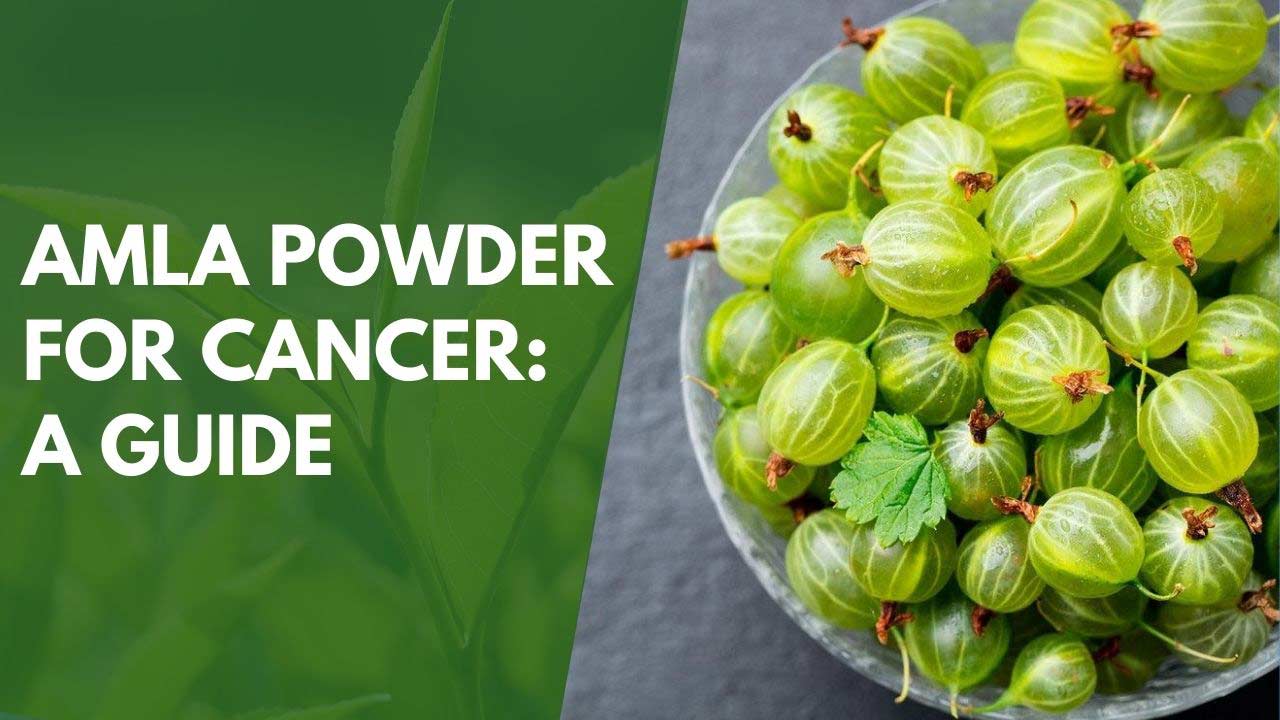 Amla Powder for Cancer: A Guide