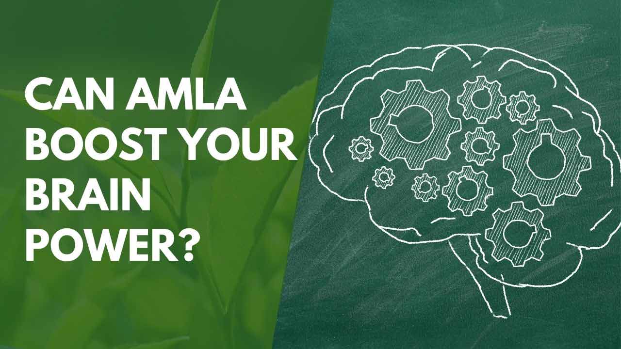 Can Amla Boost Your Brain Power?