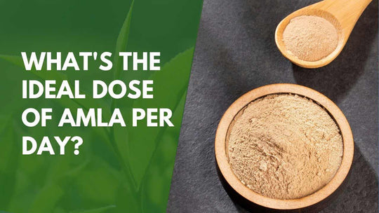 What's the Ideal Dose of Amla Per Day?