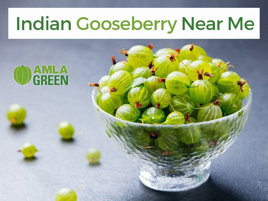 Indian Gooseberry Near Me – Amla Green