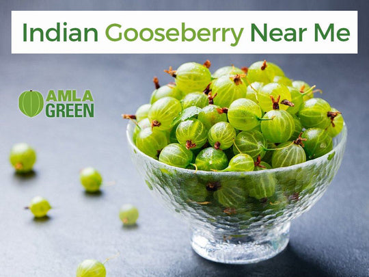 Indian Gooseberry- Amla Nearby - Indian Gooseberry Nearby - Amla Gooseberry