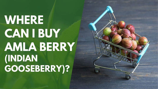 Where Can I Buy Amla Berry (Indian Gooseberry)?