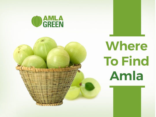 Where To Find Amla?