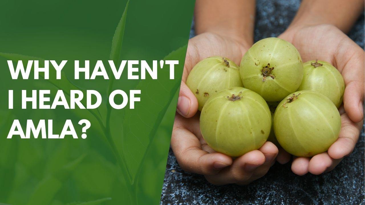 Why Haven't I Heard of Amla?