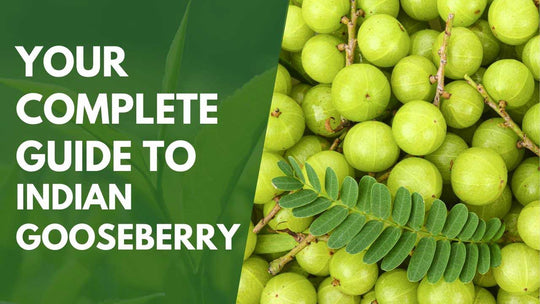 Your Complete Guide to Indian Gooseberry