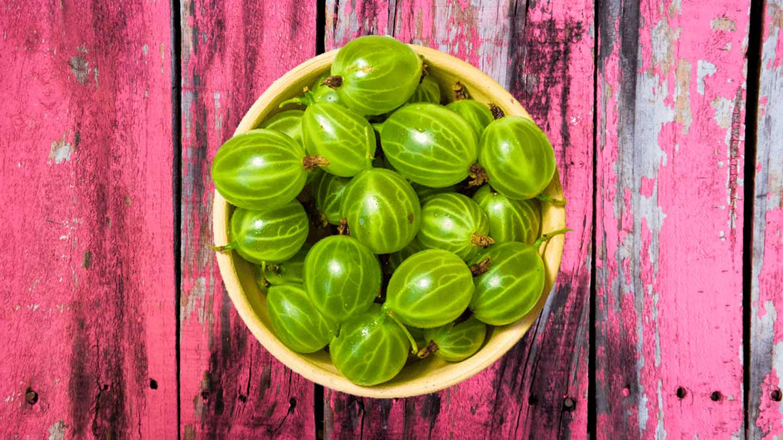 8 Secrets about Amla Modern Medicine is Just Discovering