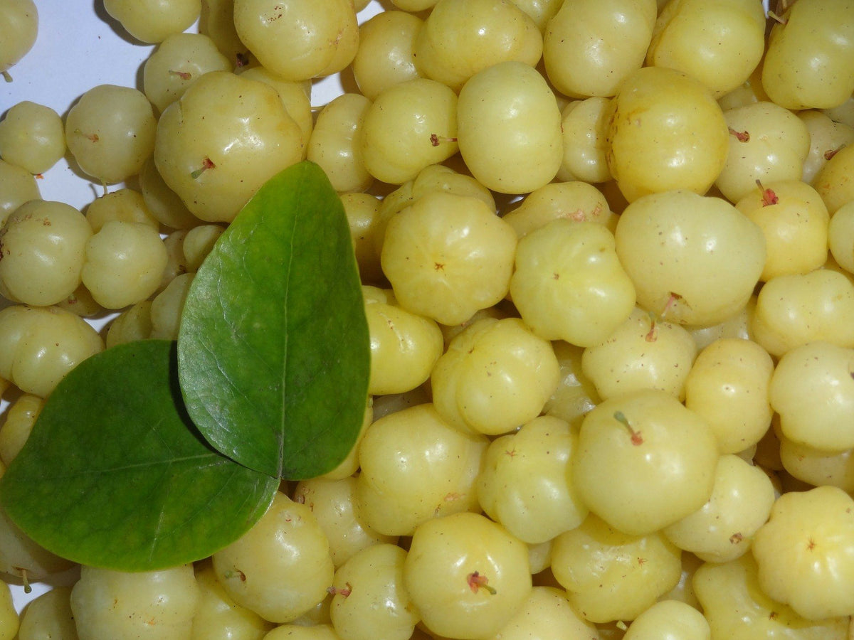 The Awesome Gooseberry Nutrition Facts Amla Green