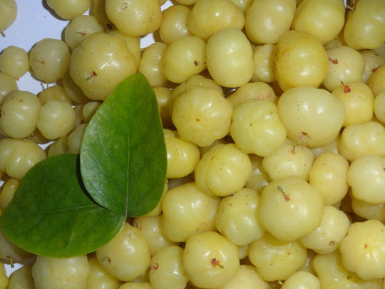 Indian Gooseberry Powder Benefits