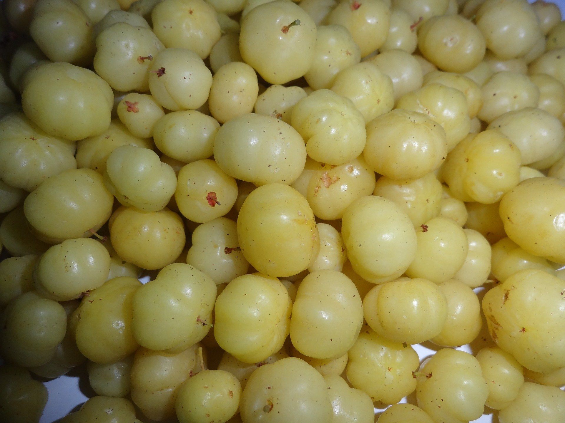 Amla Berry Side Effects