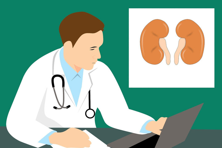 The Healing Amla Side Effects On Kidney Health