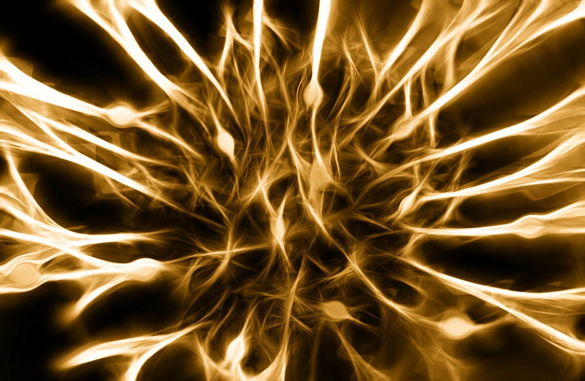 The Most Powerful Antioxidant