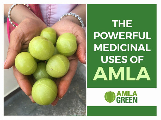 The Powerful Medicinal Uses Of Amla