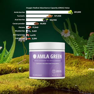 Amla Green Anti-Inflammatory Tea Powder
