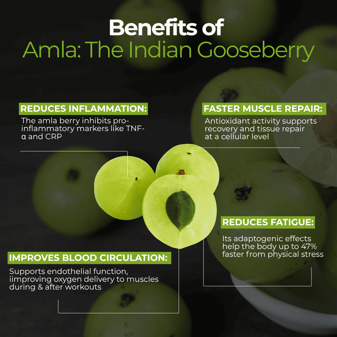 Classic Green Tea Blend