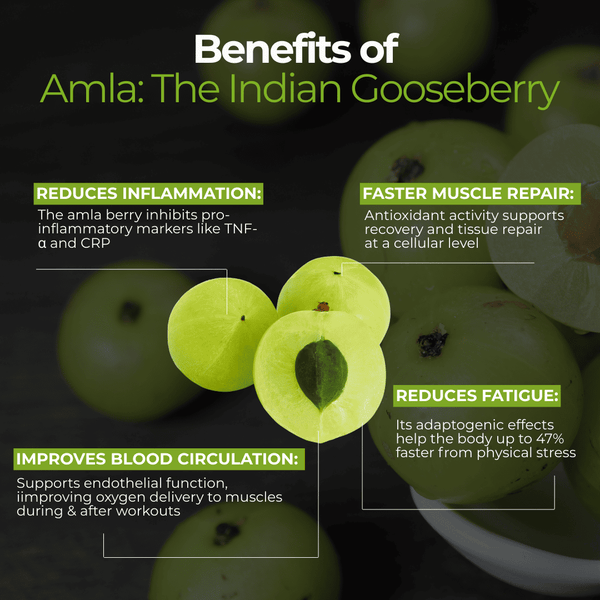 Stock Up & Save: Anti-Inflammatory Powdered Blends